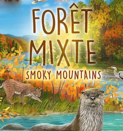 Foret-Mixte Smoky mountains